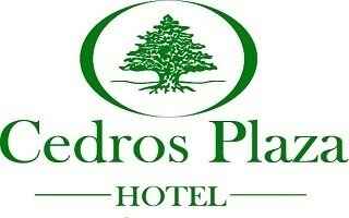 Hotel Cedros Plaza